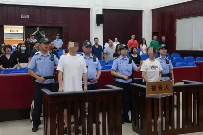 直播主夫妻造谣大熊猫遭虐待 牟利17万元遭判囚